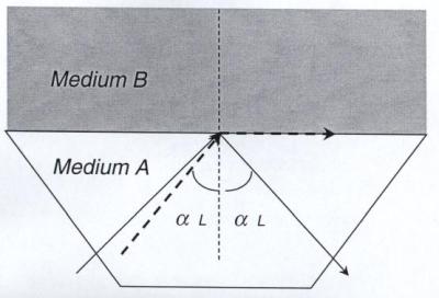 fig 3.JPG